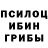 Псилоцибиновые грибы прущие грибы Mountshilol