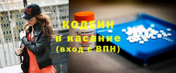 стафф Каменка