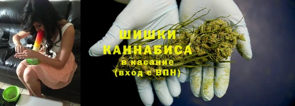 стафф Каменка
