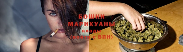 стафф Каменка