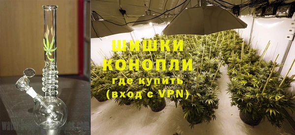 стафф Каменка