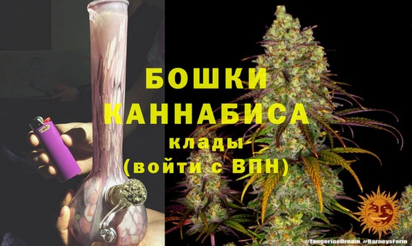 стафф Каменка