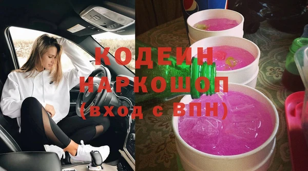 стафф Каменка