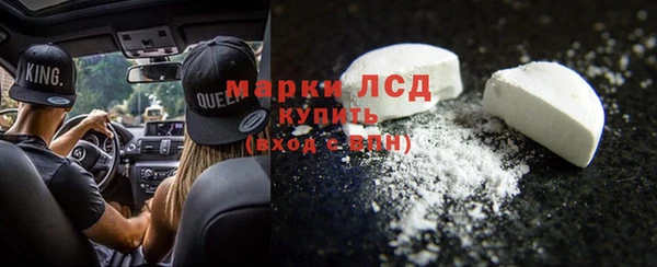 стафф Каменка