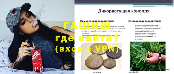 стафф Каменка