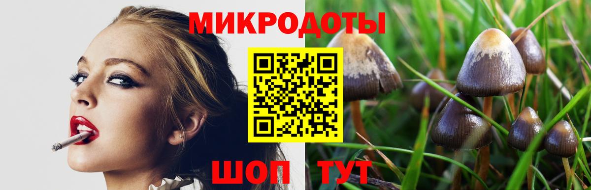 Псилоцибиновые грибы Psilocybine cubensis  Галлюциногенные грибы Psilocybe  Невинномысск 